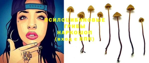эйфоретик Дмитров