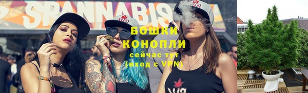эйфоретик Дмитров