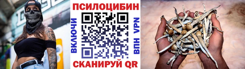 Купить где  Грозный  Галлюциногенные грибы мицелий 